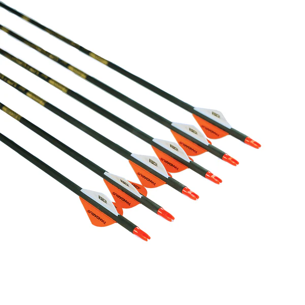 фото Стрела лучная карбоновая Pandarus X-Hunter Стрела лучная карбоновая Pandarus X-Hunter