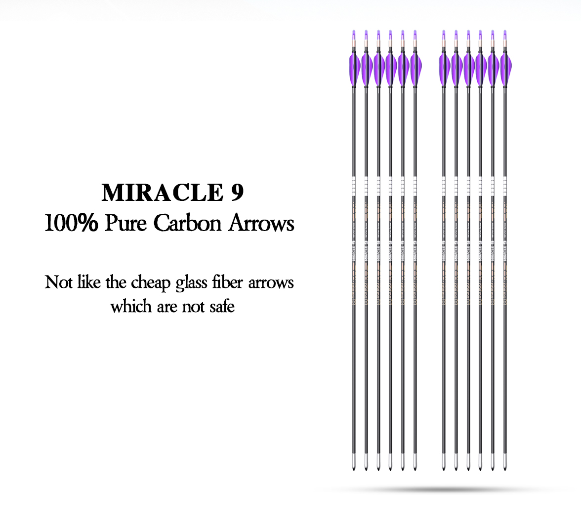 фото Стрела лучная спортивная Sanlida Miracle X9 ID 3.2 12 шт. Стрела лучная спортивная Sanlida Miracle X9 ID 3.2 12 шт.